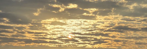 UncTweezy2u Profile Banner