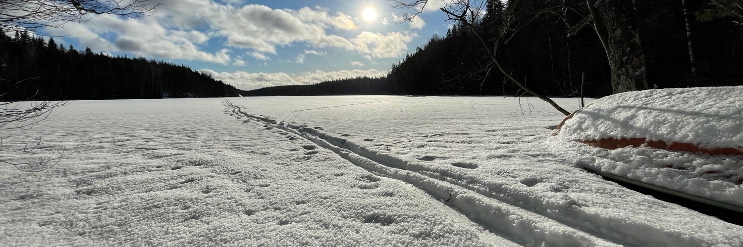 zoeker 🏳️‍🌈 🇧🇬 🇫🇮 banner