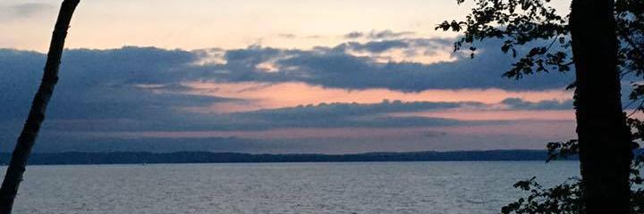 mholsea's profile banner image