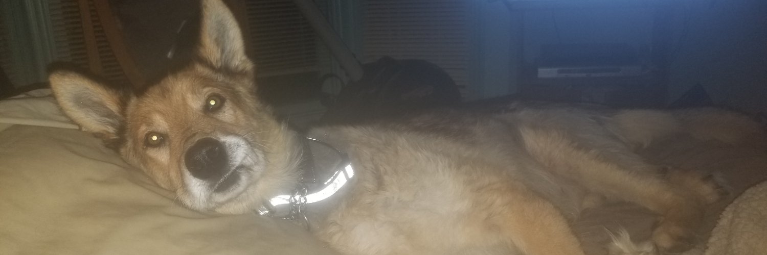 CDPTAKE3's profile banner image