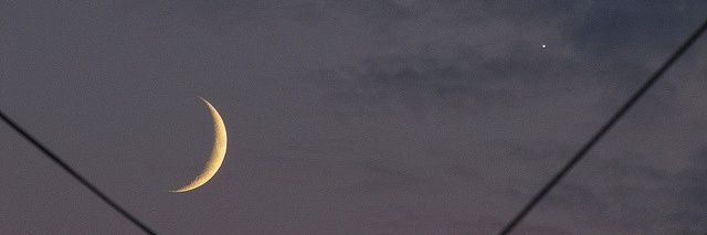 larissadavel's profile banner image