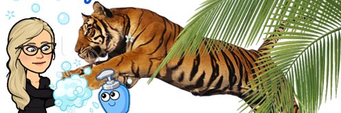 ccSocialTiger's profile banner image