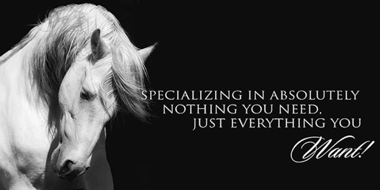 exceptionalEQ's profile banner image