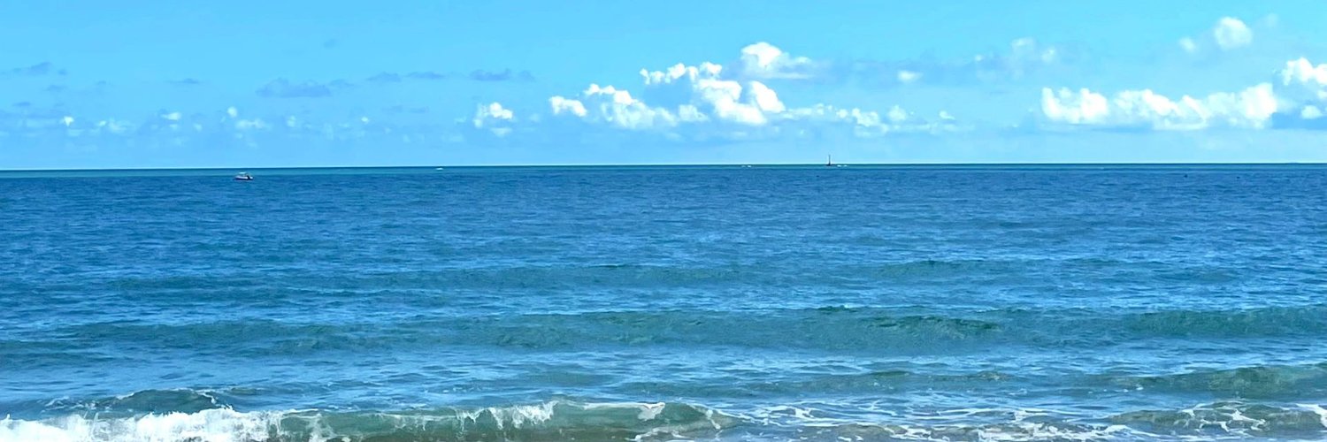𝐌𝐚𝐫𝐲 banner