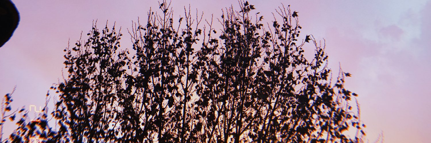 fbsj4412's profile banner image