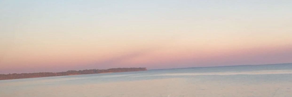 Carson Vogler banner