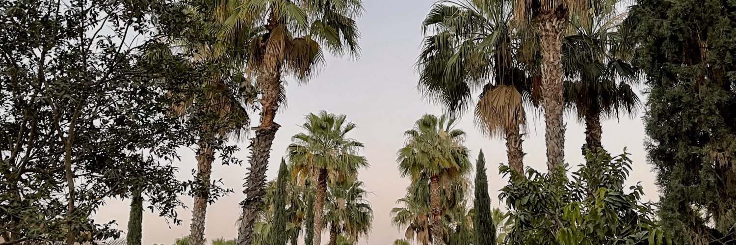 tayma shalabi banner