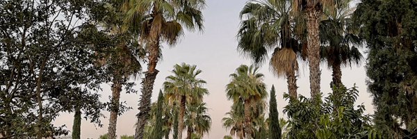 thymethayma Profile Banner