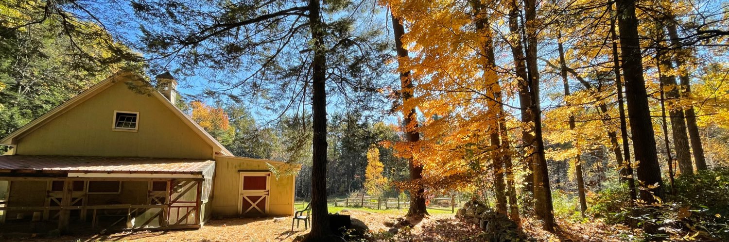 You gonna believe the FedGov or yer lyin eyes? banner