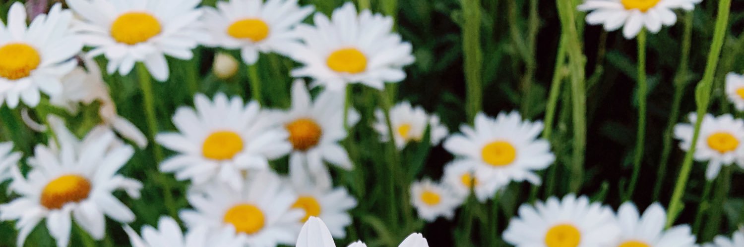 Naturally_Nique's profile banner image