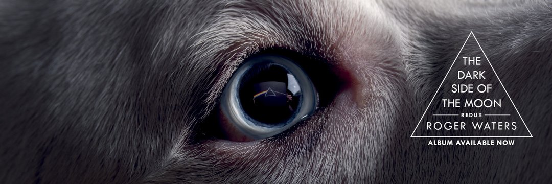 RogerWaters2_'s profile banner image