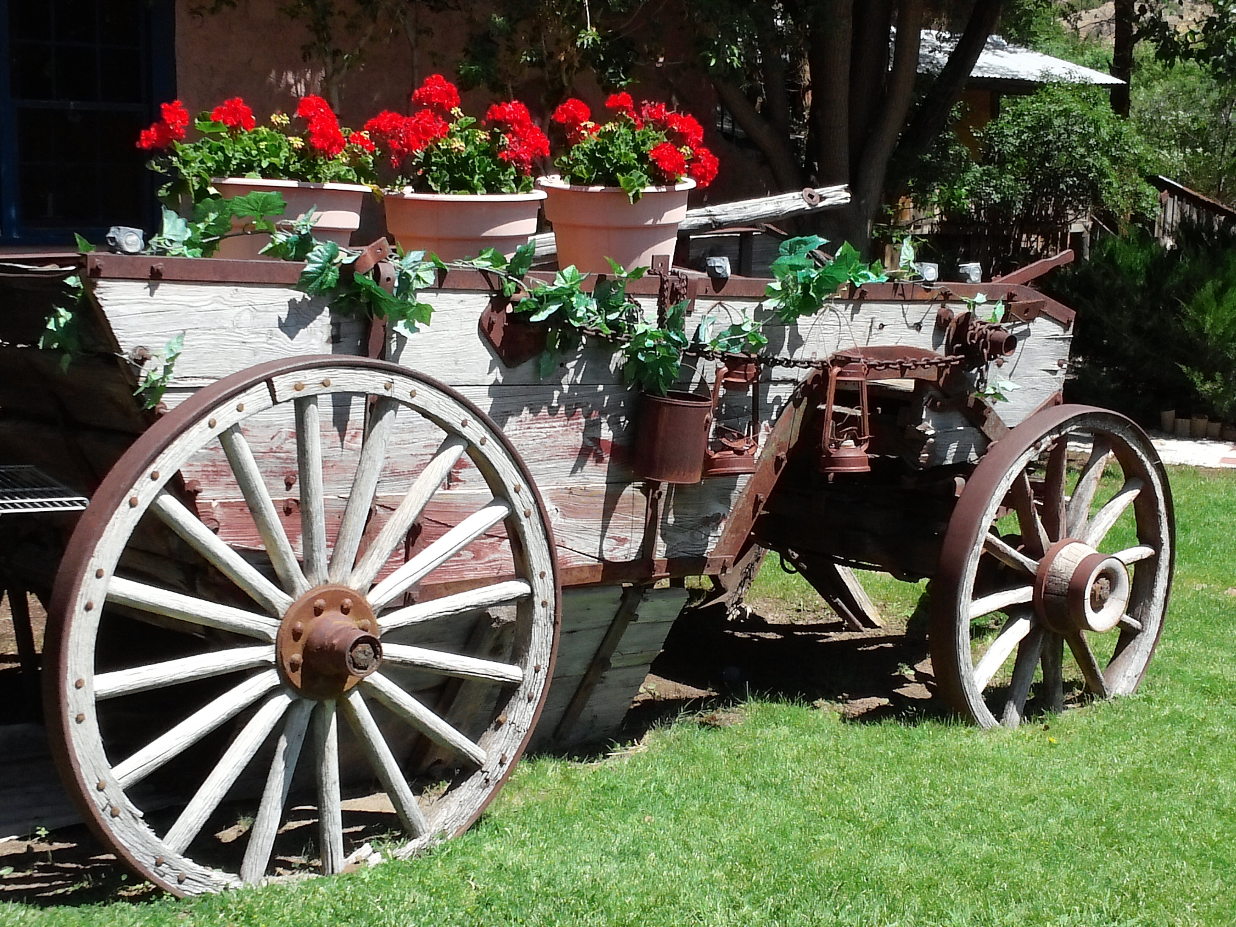 KimSaffold's profile banner image
