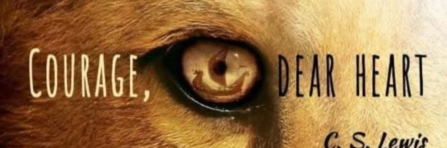 mtnlioness1's profile banner image
