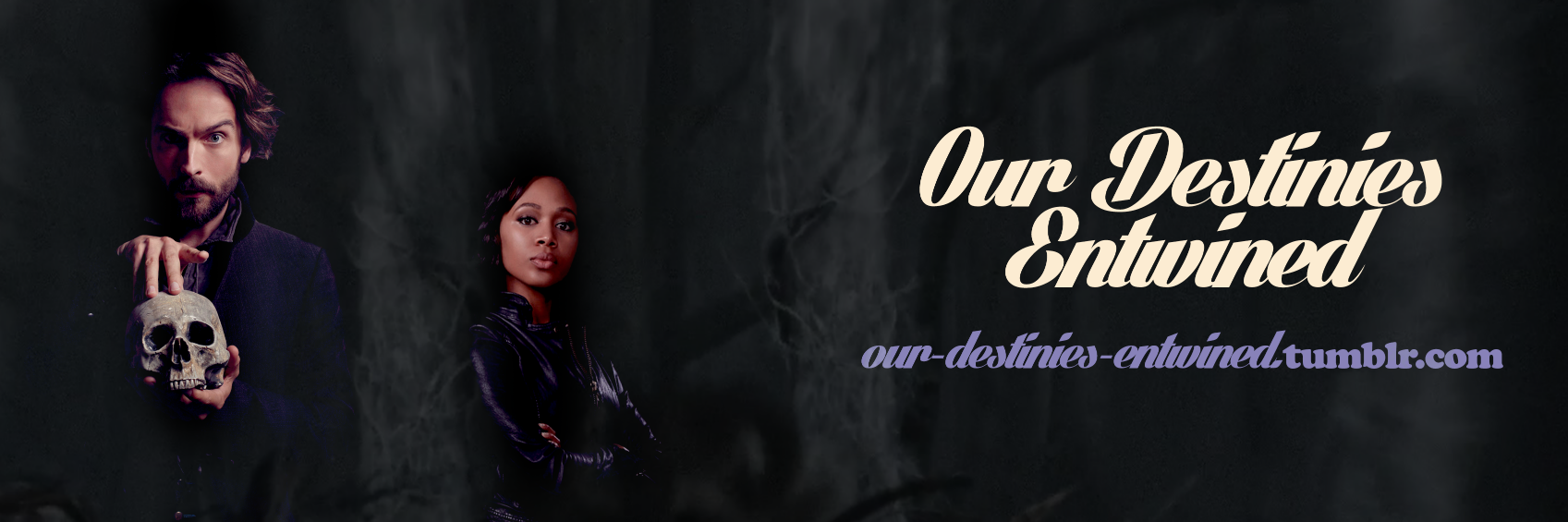OurDestinies's profile banner image