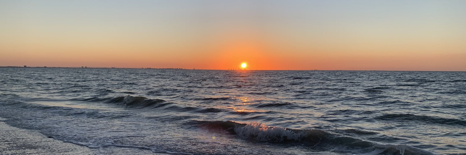 Daria Lesnik Hoffman banner