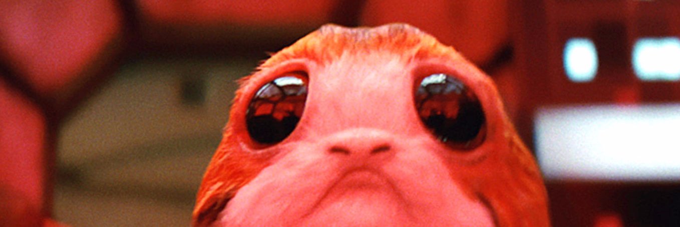 Just this guy… you know banner