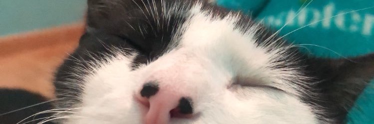 aroapuente01's profile banner image