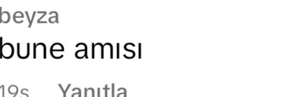 buneeamisi Profile Banner