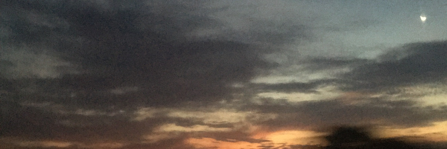 BreeyLatar's profile banner image