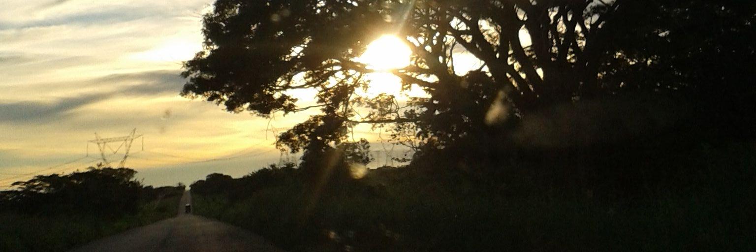 marypetw's profile banner image