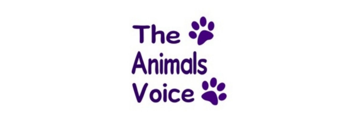 The Animals Voice banner