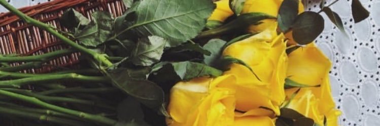 hehe723's profile banner image
