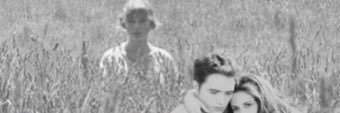 diaryofafig's profile banner image
