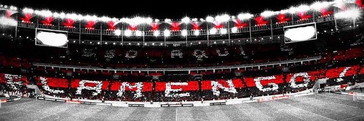 oipedrorocha's profile banner image