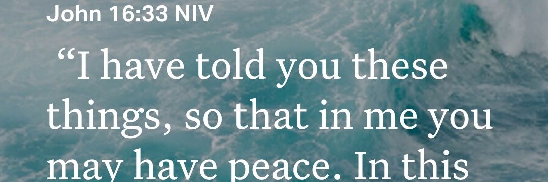 Agora Meritum Concordia banner