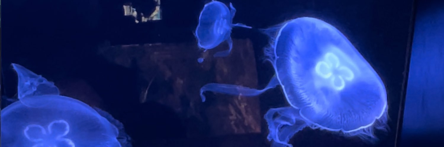クれおん banner