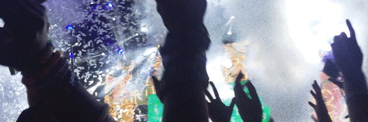 Haley Federerererer banner