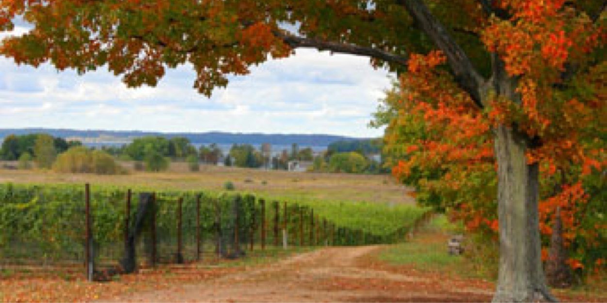 ChicksAndWine's profile banner image