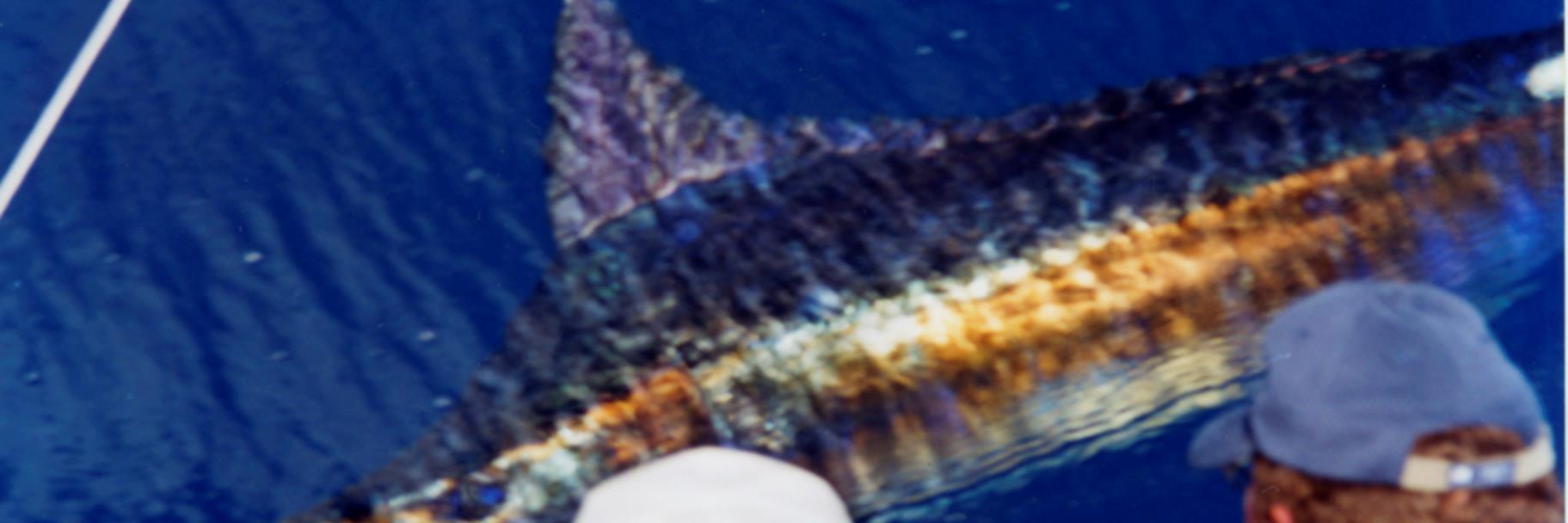 ConsumerAtty's profile banner image