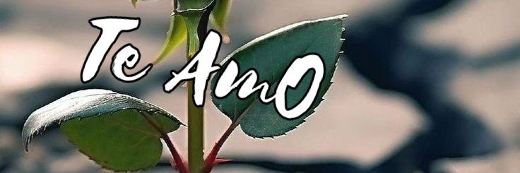 LuiS♥️💕🌹♥️💕🌹♥️💕🌹♥️💕🌹 banner