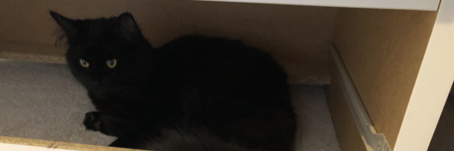 Annie 🐍🖤 banner