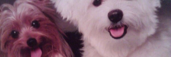 peemail Profile Banner