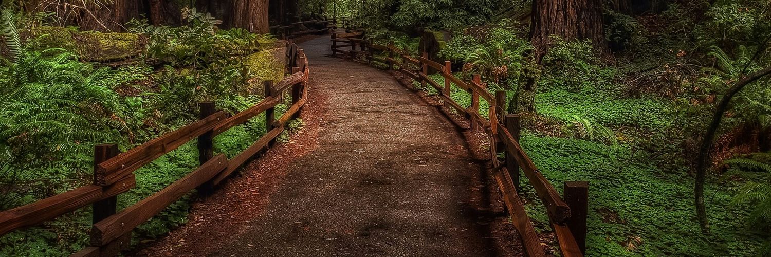 Hummingbird 🔄 banner