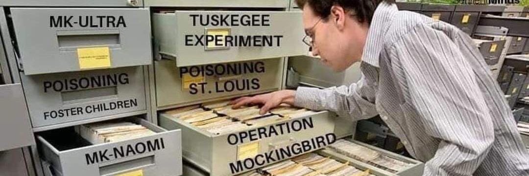 Said_Irdan_Ali_Faroukt banner