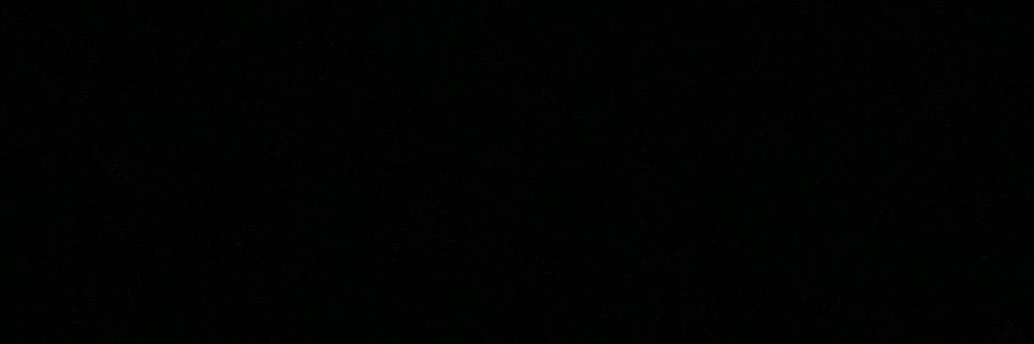 flornonis's profile banner image