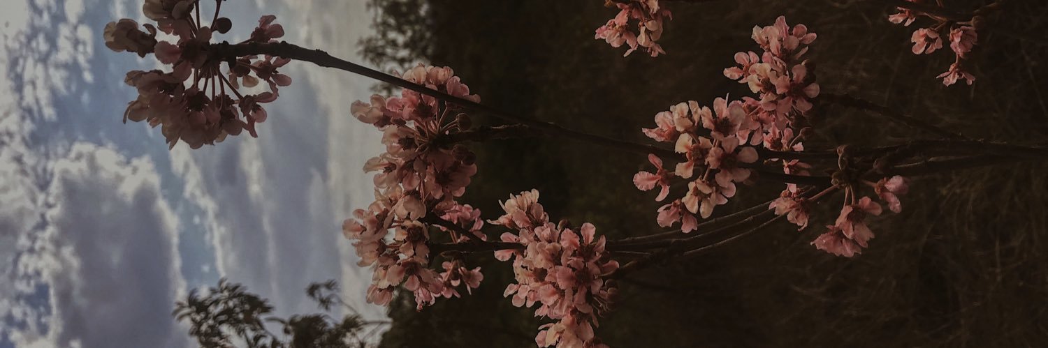 a_nandona's profile banner image