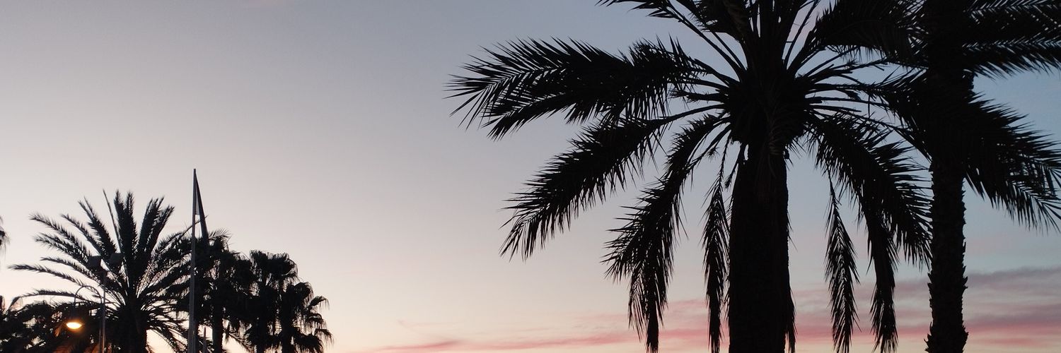 CarmenMariaLR_'s profile banner image
