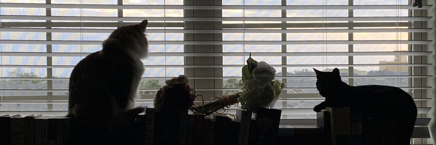 texmex1995's profile banner image