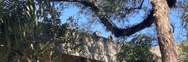 mcmercad0 Profile Banner