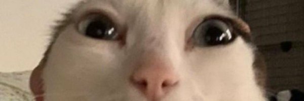 vinteliko Profile Banner