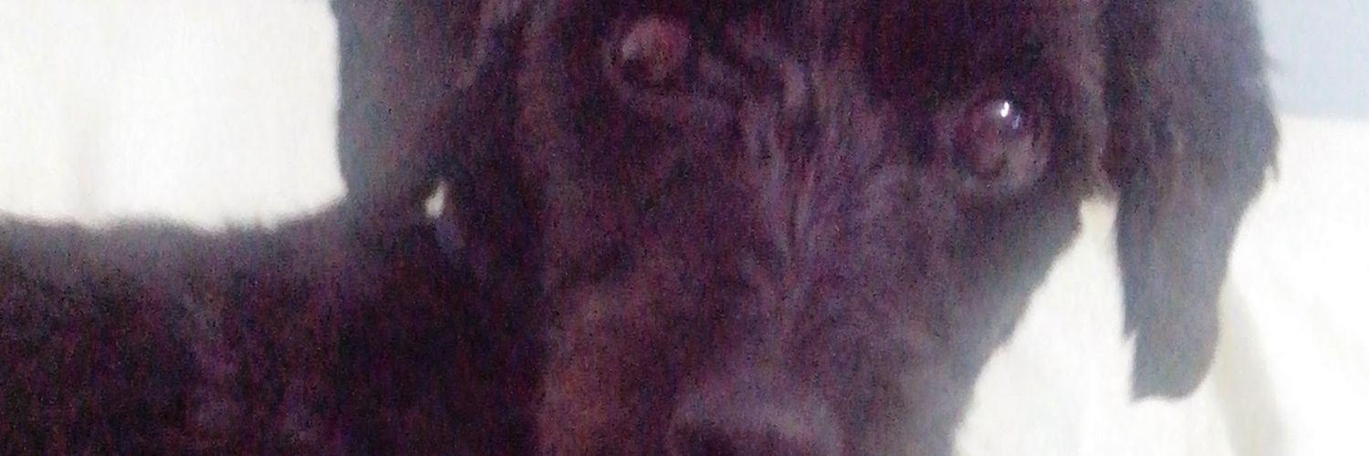 cyyy_'s profile banner image