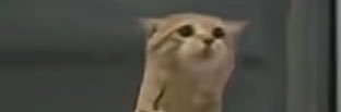 F banner