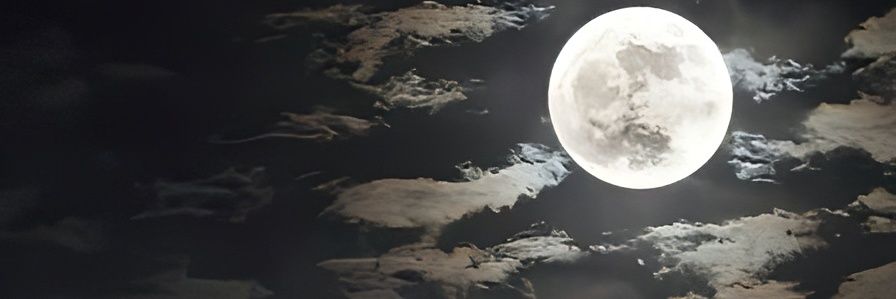 ᴵᴸᴼⱽᴱ Yₒᵤ²🍷 banner