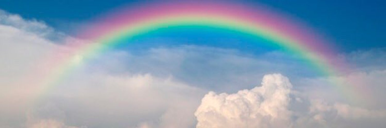 ولاء هاني في الدور التاني banner