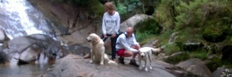 Ramon G. Argibay banner