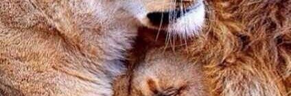 سقراط~ 📖 banner